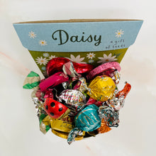 Load image into Gallery viewer, Chocolate Planter Pot