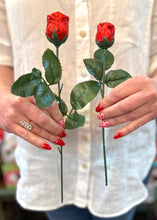 Load image into Gallery viewer, Cha Cha Chocolate Rose Valentines Day