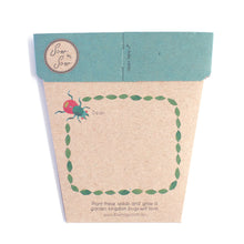 Load image into Gallery viewer, Bug Wonderland Gift of Seeds