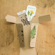 Load image into Gallery viewer, Watermelon Gift of Seeds