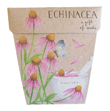 Load image into Gallery viewer, Echinacea Gift of Seeds