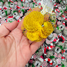 Load image into Gallery viewer, Chocolate Coin Bags
