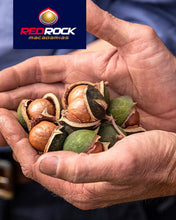 Load image into Gallery viewer, Red Rock Macadamias in hands
