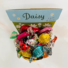Load image into Gallery viewer, Chocolate Planter Pot
