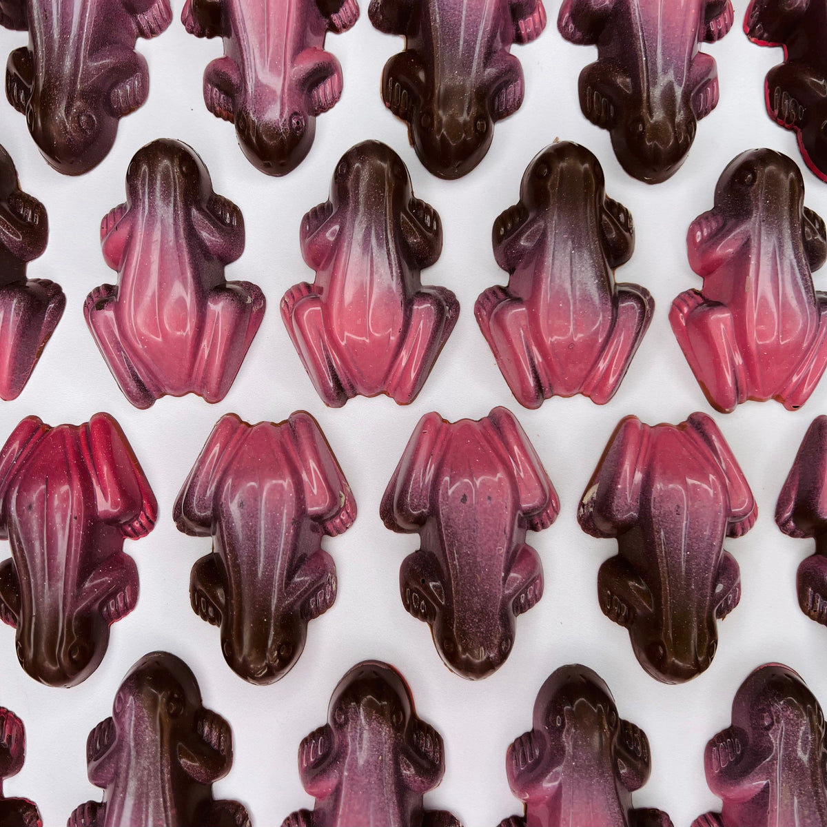 Raspberry Frog – Cha Cha Chocolate