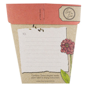 Hooray Zinnia Gift of Seeds