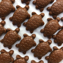 Load image into Gallery viewer, Caramel Turtles
