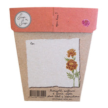 Load image into Gallery viewer, Secret Garden Gift of Seeds

