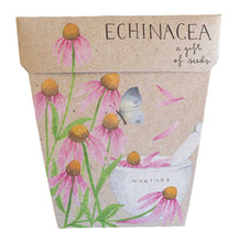 Load image into Gallery viewer, Echinacea Gift of Seeds
