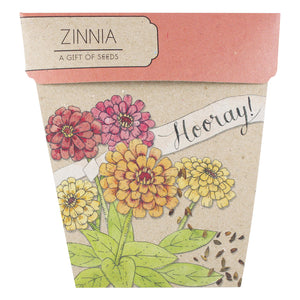 Hooray Zinnia Gift of Seeds